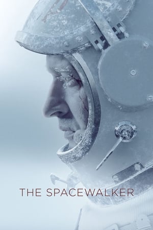 Spacewalk 2017 Hindi Dual Audio –